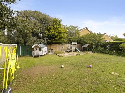 Picture 23